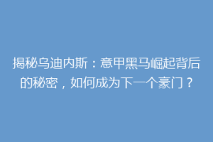 揭秘乌迪内斯：意甲黑马崛起背后的秘密，如何成为下一个豪门？