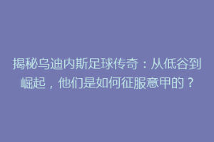 揭秘乌迪内斯足球传奇：从低谷到崛起，他们是如何征服意甲的？