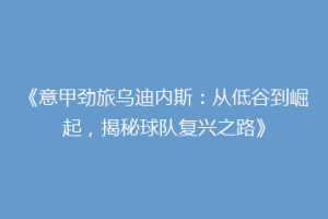 《意甲劲旅乌迪内斯：从低谷到崛起，揭秘球队复兴之路》