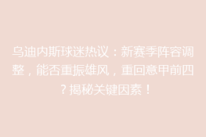 乌迪内斯球迷热议：新赛季阵容调整，能否重振雄风，重回意甲前四？揭秘关键因素！