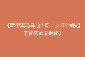 《意甲黑马乌迪内斯：从低谷崛起的秘密武器揭秘》