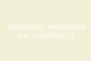 《揭秘乌迪内斯：意甲黑马的秘密武器，他们如何崛起？》