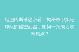 乌迪内斯球迷必看：揭秘意甲黑马球队的秘密武器，如何一跃成为联赛焦点？