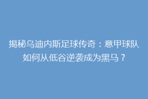 揭秘乌迪内斯足球传奇：意甲球队如何从低谷逆袭成为黑马？