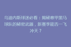 乌迪内斯球迷必看：揭秘意甲黑马球队的秘密武器，新赛季能否一飞冲天？