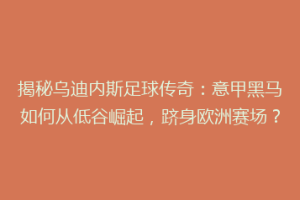 揭秘乌迪内斯足球传奇：意甲黑马如何从低谷崛起，跻身欧洲赛场？