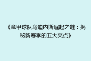 《意甲球队乌迪内斯崛起之谜：揭秘新赛季的五大亮点》