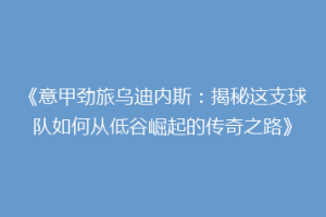 《意甲劲旅乌迪内斯：揭秘这支球队如何从低谷崛起的传奇之路》