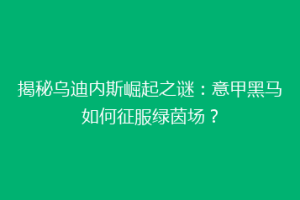 揭秘乌迪内斯崛起之谜：意甲黑马如何征服绿茵场？
