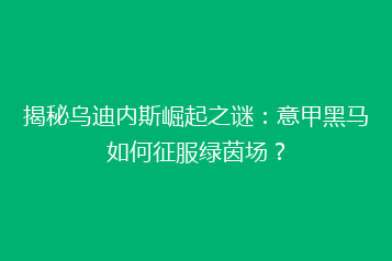 揭秘乌迪内斯崛起之谜:意甲黑马如何征服绿茵场?
