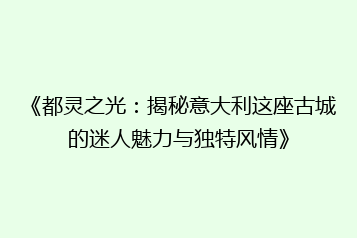 《都灵之光:揭秘意大利这座古城的迷人魅力与独特风情》