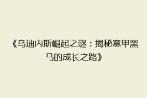 《乌迪内斯崛起之谜：揭秘意甲黑马的成长之路》