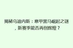 揭秘乌迪内斯：意甲黑马崛起之谜，新赛季能否再创辉煌？