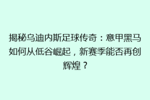 揭秘乌迪内斯足球传奇：意甲黑马如何从低谷崛起，新赛季能否再创辉煌？