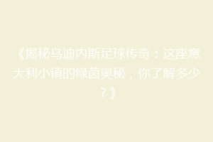 《揭秘乌迪内斯足球传奇：这座意大利小镇的绿茵奥秘，你了解多少？》