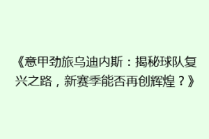 《意甲劲旅乌迪内斯：揭秘球队复兴之路，新赛季能否再创辉煌？》