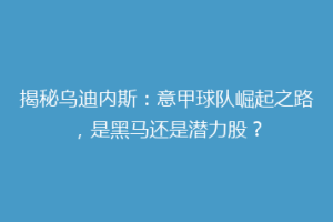 揭秘乌迪内斯：意甲球队崛起之路，是黑马还是潜力股？