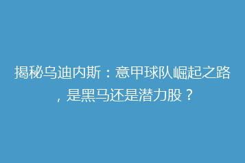 揭秘乌迪内斯:意甲球队崛起之路,是黑马还是潜力股?