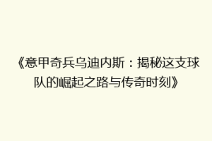 《意甲奇兵乌迪内斯：揭秘这支球队的崛起之路与传奇时刻》