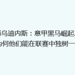 揭秘乌迪内斯：意甲黑马崛起之谜，为何他们能在联赛中独树一帜？