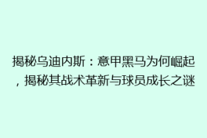 揭秘乌迪内斯：意甲黑马为何崛起，揭秘其战术革新与球员成长之谜