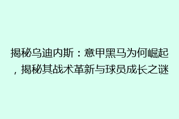 揭秘乌迪内斯:意甲黑马为何崛起,揭秘其战术革新与球员成长之谜