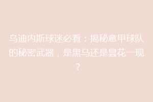 乌迪内斯球迷必看：揭秘意甲球队的秘密武器，是黑马还是昙花一现？