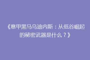 《意甲黑马乌迪内斯：从低谷崛起的秘密武器是什么？》
